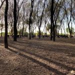 295966947_8226180720726148_391017060664289552_n