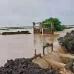 fe21b530-621f-4b41-9d7c-85218f1598a0-390x220